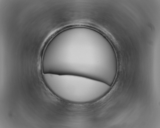 X0000112911224200908241000