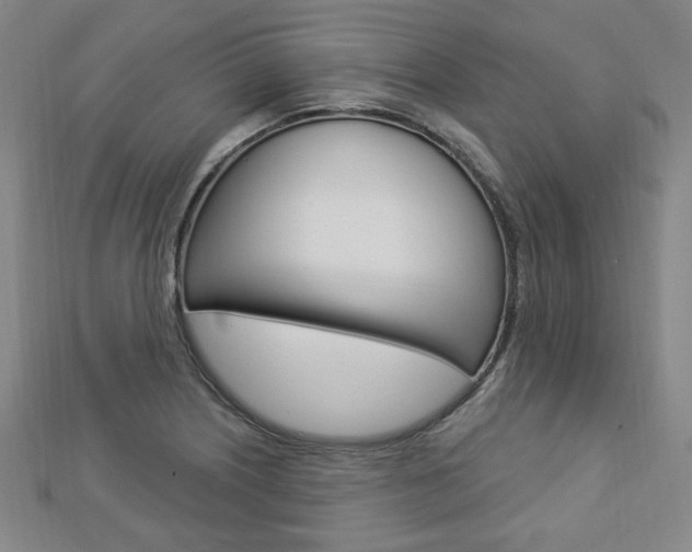 X0000112911226200908241000