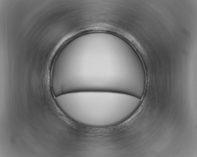 X0000112911232200908241000