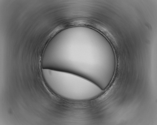 X0000112911233200908241000