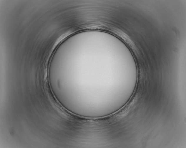 X0000112911234200908241000