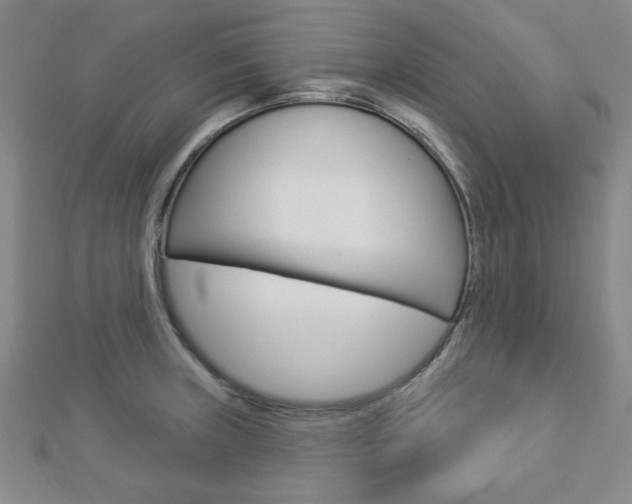X0000112911235200908241000