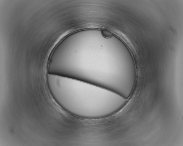 X0000112911236200908241000