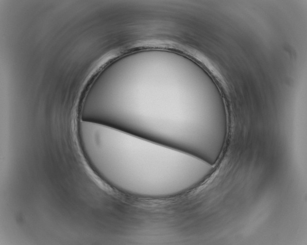 X0000112911237200908241000