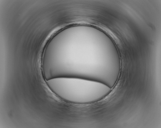 X0000112911240200908241000