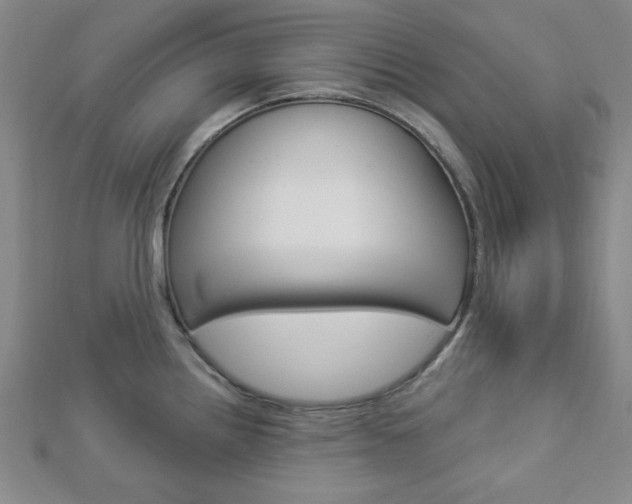 X0000112911242200908241000