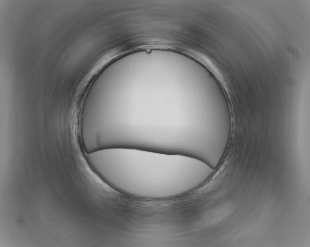 X0000112911243200908241000
