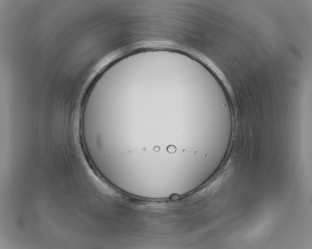 X0000112911245200908241000
