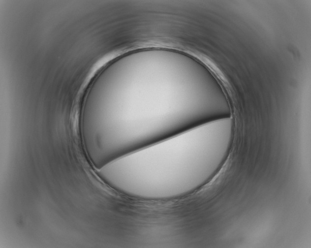 X0000112911246200908241000