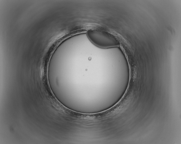 X0000112911261200908241000