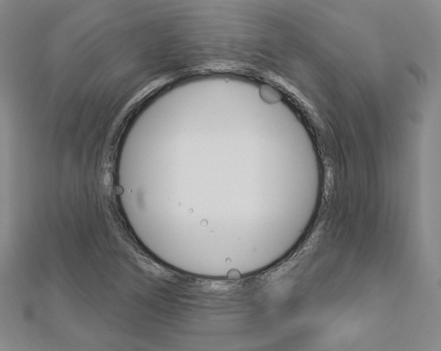 X0000112911266200908240959