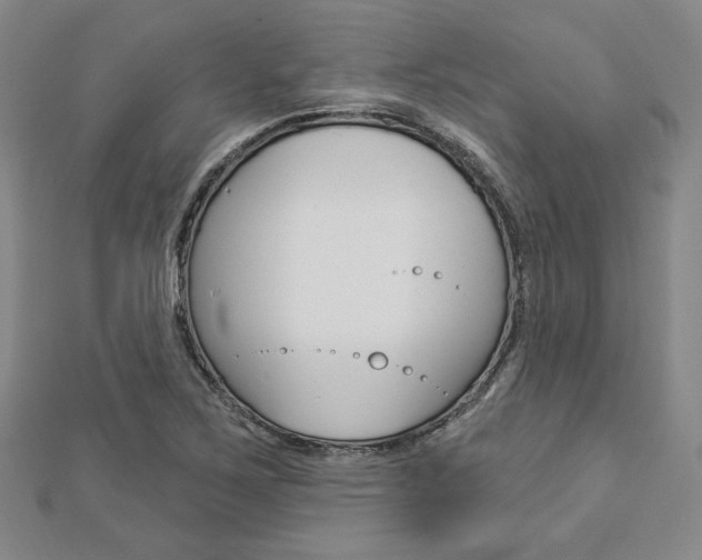X0000112911267200908240959