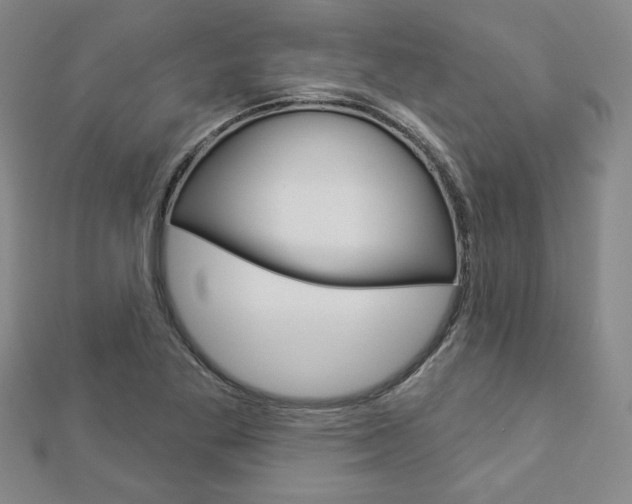 X0000112911269200908240959