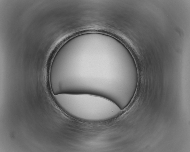 X0000112911270200908240959