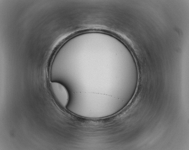 X0000112911271200908240959