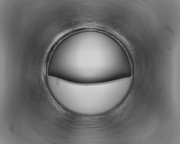 X0000112911272200908240959