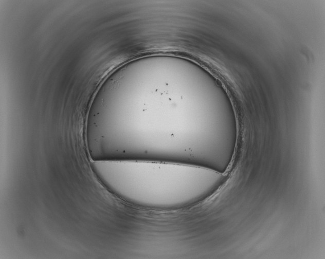 X0000112911273200908240959