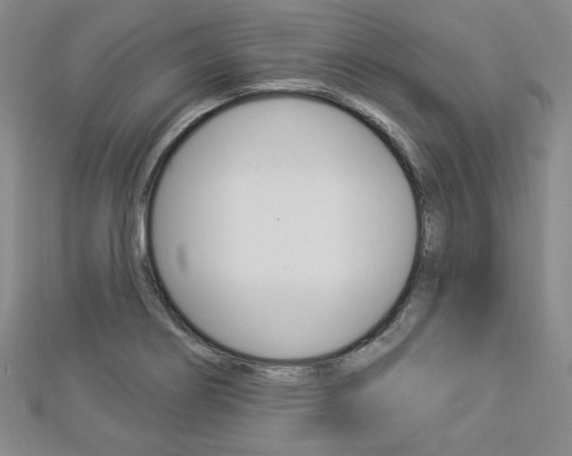 X0000112911274200908240959