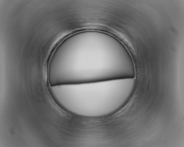 X0000112911275200908240959