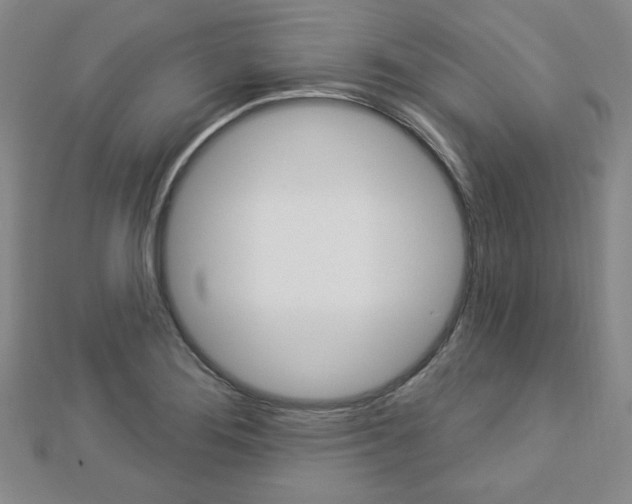 X0000112911276200908240959