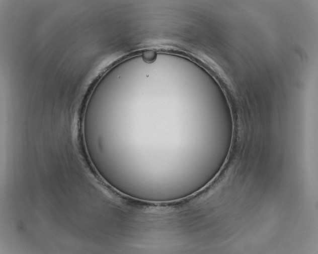 X0000112911277200908240959