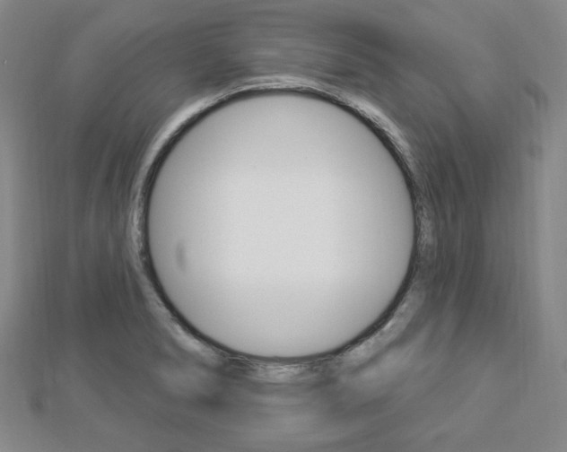 X0000112911278200908240959