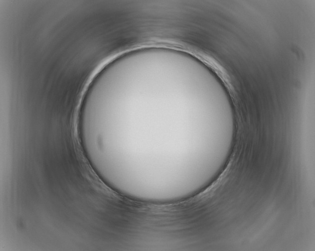X0000112911280200908240959