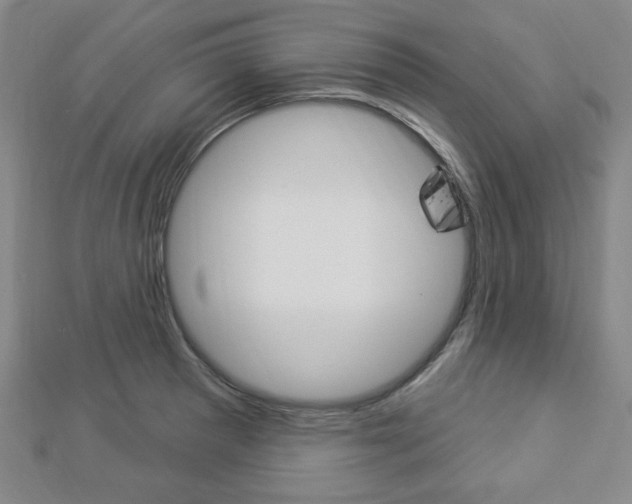 X0000112911281200908240959