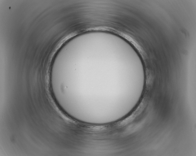 X0000112911282200908240959