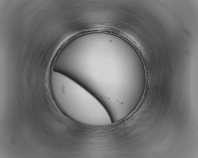 X0000112911283200908240959