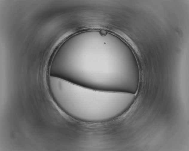 X0000112911285200908240959