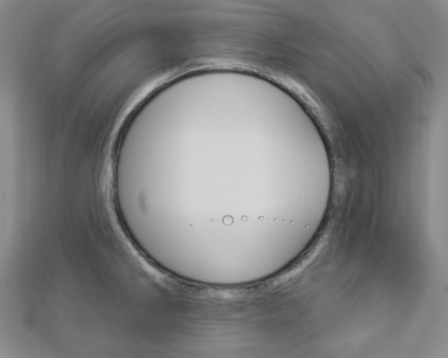 X0000112911286200908240959