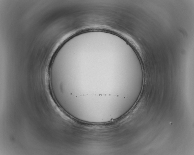 X0000112911287200908240959