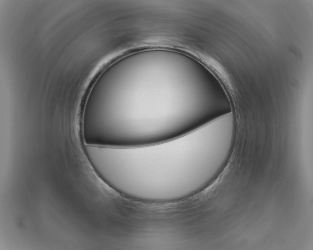 X0000112911288200908240959