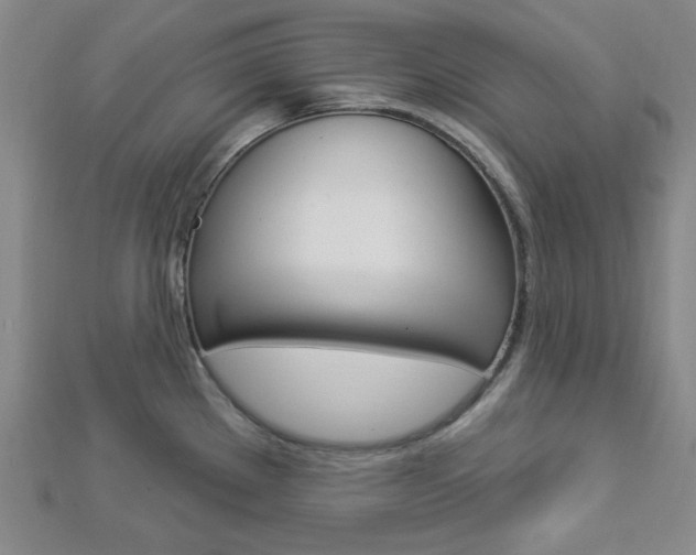 X0000112911289200908240959