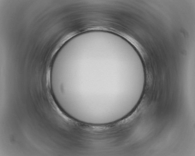 X0000112911290200908240959