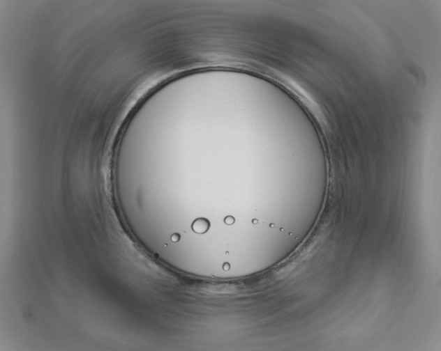 X0000112911291200908240959