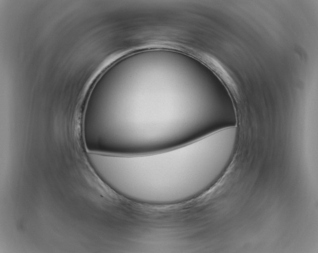X0000112911292200908240959