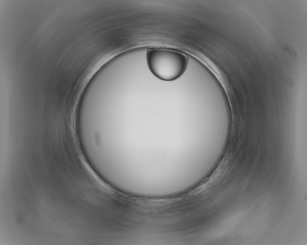 X0000112911293200908240959