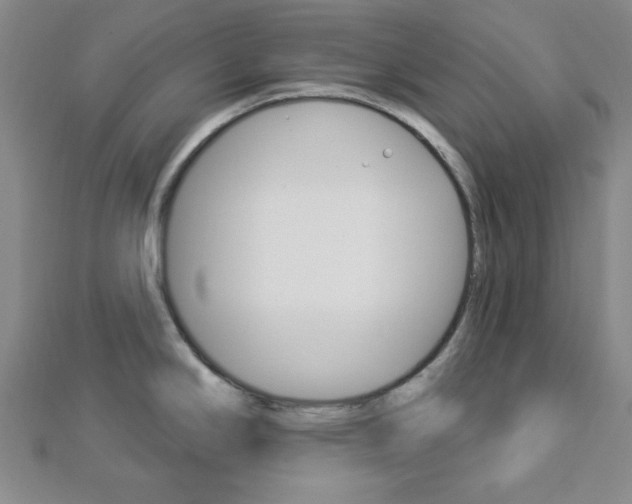 X0000112911294200908240959