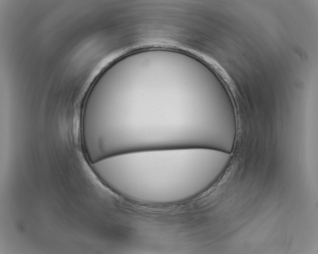X0000112911295200908240959