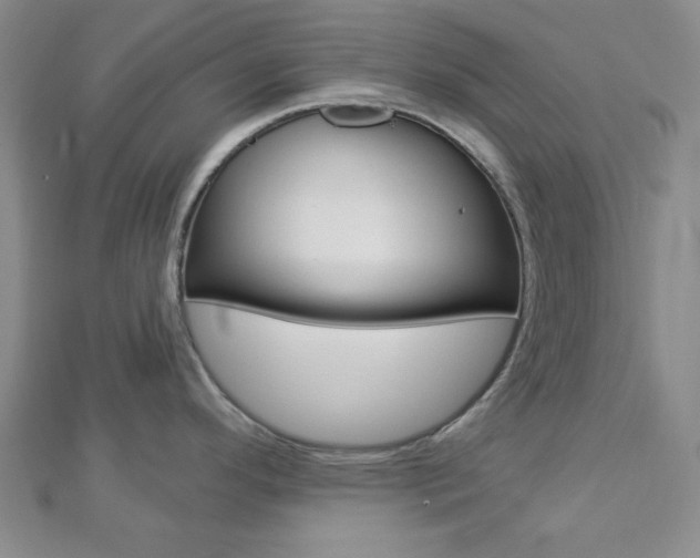 X0000112911296200908240959