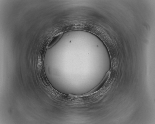 X0000112911298200908240958