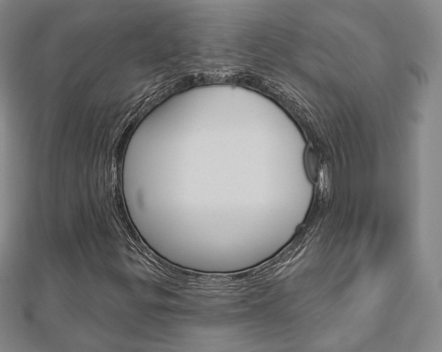 X0000112911299200908240958