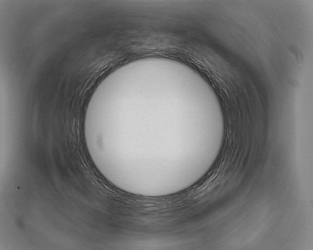 X0000112911300200908240958