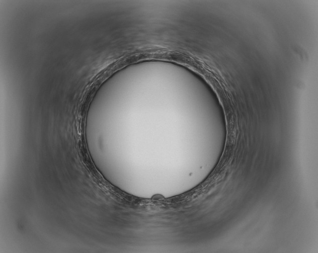 X0000112911301200908240958
