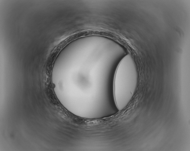 X0000112911303200908240958