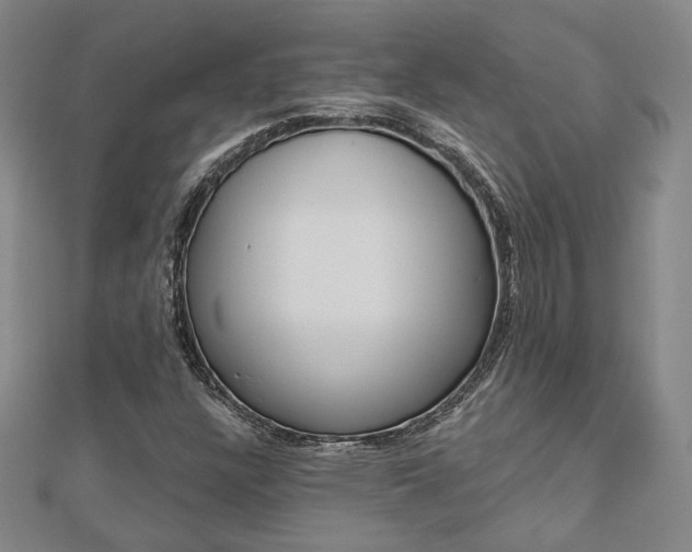 X0000112911304200908240958