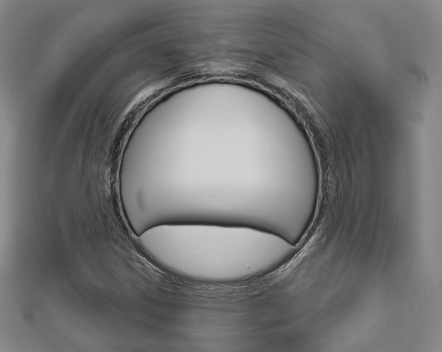 X0000112911306200908240958