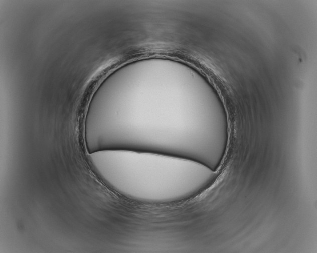 X0000112911309200908240958